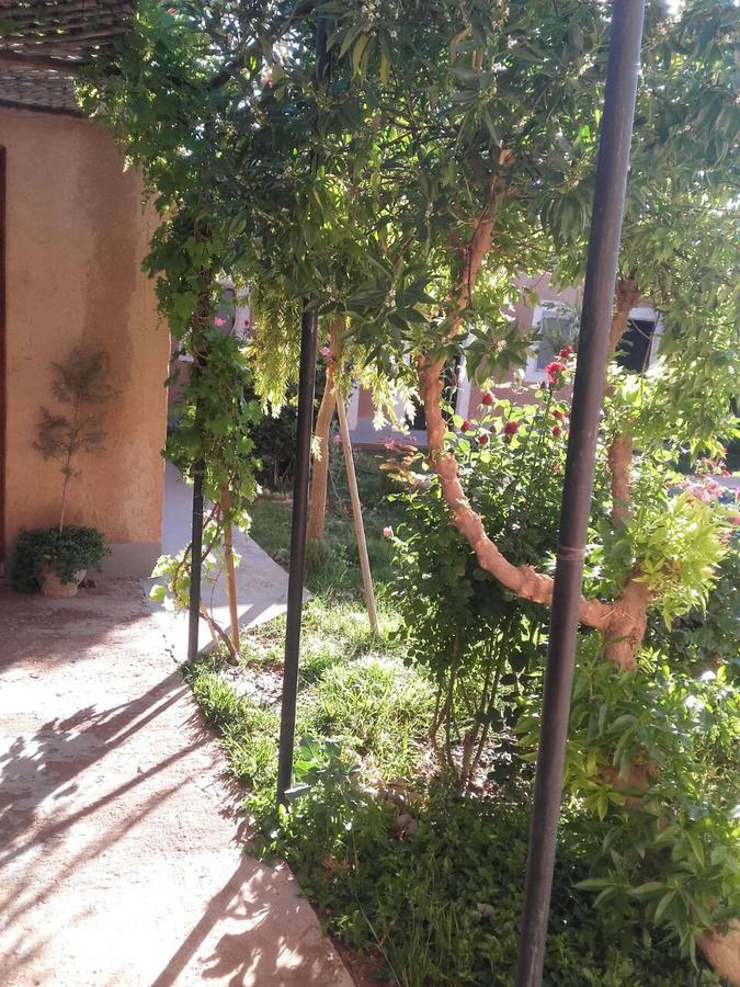 Auberge Toda آيت ايجاد المظهر الخارجي الصورة